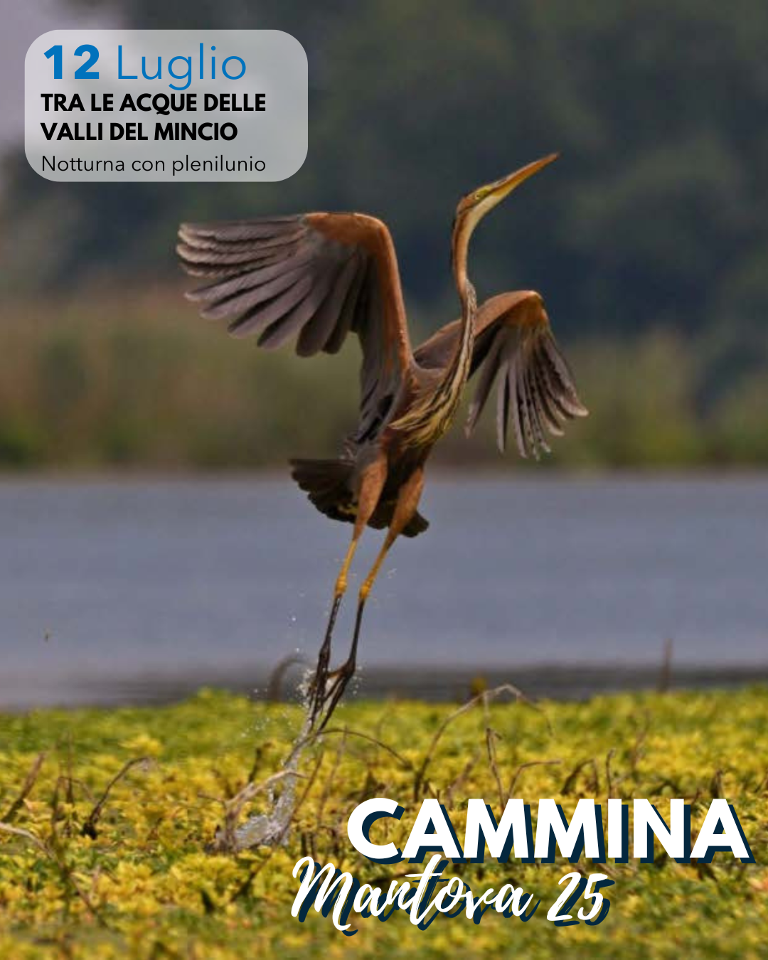 10 Valli del Mincio