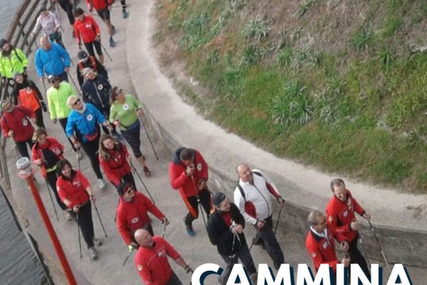 Camminando attorno ai Laghi tra flora e fauna