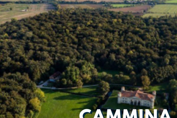 Ascoltando il cinguettio ci sentiamo bene