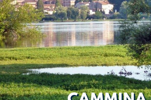 Camminata empatica